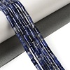 Natural Sodalite Beads Strands G-B091-A06-01-2