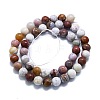 Natural Ocean Jasper Beads Strands G-P457-C03-06-3