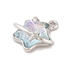 Alloy & Resin Pendants FIND-G081-01C-P-2