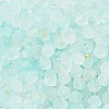 Frosted Glass Beads X1-FGLA-D300-01B-3