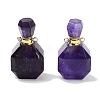 Natural Amethyst Perfume Bottle Pendants G-Q163-10G-08-1