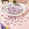 Picasso Glass Seed Beads SEED-TADJ0001-05I-4
