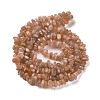 Natural Multi-Moonstone Chip Beads Strands X-G-M205-19A-2