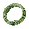 Yilisi 1 Roll Round Iron Wire FIND-YS0001-05C-2