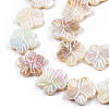 Electroplated Natural Freshwater Shell Beads Strands SHEL-N026-203A-01-3