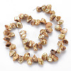 Natural Keshi Pearl Beads Strands PEAR-S021-013B-04-2