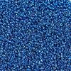 MIYUKI Round Rocailles Beads SEED-X0054-RR0291-3