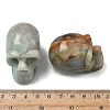 Halloween Natural Flower Amazonite Display Decorations DJEW-K015-34-3