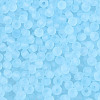 FGB Frosted Transparent Glass Seed Beads SEED-N013-04A-11-3