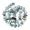Natural Larimar Beads Strands G-L649-A07-01-3