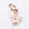 Brass Micro Pave Cubic Zirconia Charms ZIRC-E135-30RG-2