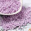 Glass Seed Beads SEED-K009-02A-06-1