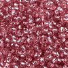 6/0 Glass Seed Beads SEED-T006-04C-10-3