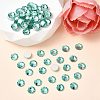Preciosa® MAXIMA Crystal No Hotfix Flatback Stones Y-PRC-NSS6-50005-2