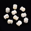 Natural Trochid Shell/Trochus Shell Beads SSHEL-T014-32-1