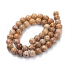 Natural Maifanite/Maifan Stone Beads Strands G-P451-01A-C-4
