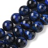 Natural Tiger Eye Bead Strands G-P230-08-B-14mm-1