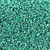 MIYUKI Delica Beads SEED-X0054-DB2505-2