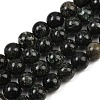 Natural Seraphinite Beads Strands G-H337-A03-05-2