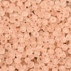 FGB Frosted Transparent Glass Seed Beads SEED-N013-04A-03-3