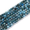 Natural Apatite Beads Strands G-N342-34-1