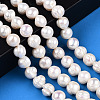 Natural Cultured Freshwater Pearl Beads Strands PEAR-N013-10F-2