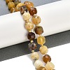 Natural Yellow Opal Beads Strands G-B125-O06-01-2