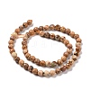 Natural Picture Jasper Beads Strands G-E571-28A-3