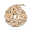 Natural Gold Rutilated Quartz Beads Strands G-G189-C04-02-3