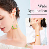 5Bags 5 Colors Glass Chip Beads GLAA-TA0002-40-8