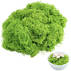 150g Artificial Moss Rocks DJEW-SP0001-22B-1