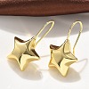 Star Brass Dangle Earrings EJEW-B132-05G-1