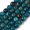 Natural Dragon Veins Agate(Dyed & Heated) Beads Strands G-M437-C01-01R-01-2