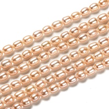 Natural Cultured Freshwater Pearl Beads Strands PEAR-L033-63B
