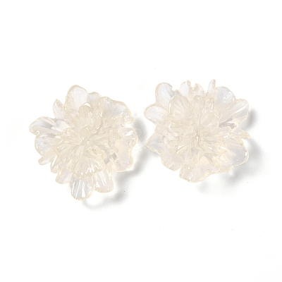 Transparent Resin Cabochons RESI-G027-01A-1