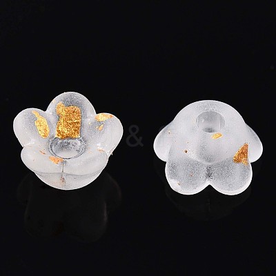 Frosted Transparent Acrylic Beads OACR-N137-72A-1
