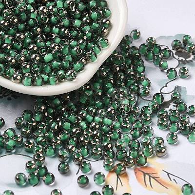 Transparent Inside Colours Glass Seed Beads SEED-H002-A-C221-1