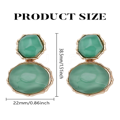 1 Pair Resin Dangle Stud Earrings EJEW-LP0004-82A-1