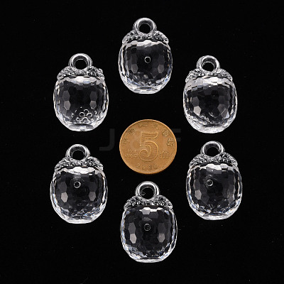 Autumn Theme Transparent Acrylic Pendants TACR-T024-04B-205-1