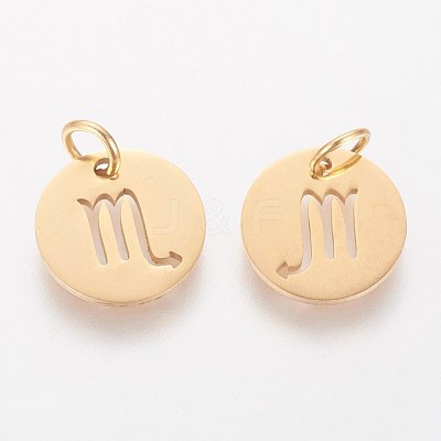 304 Stainless Steel Charms STAS-Q201-T445-8G-1