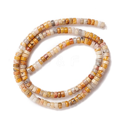Natural Crazy Lace Agate Beads Strands G-A201-A05-1