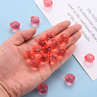 Transparent Acrylic Pendants TACR-T024-05B-910-1