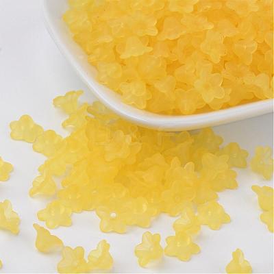 Transparent Acrylic Beads PL554-08-1