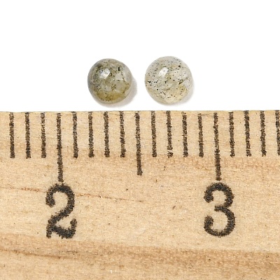 Natural Labradorite Cabochons G-Q173-01A-15-1