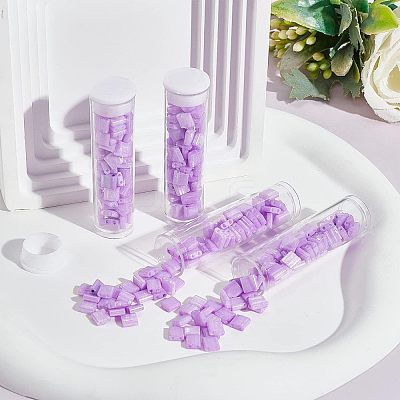 304Pcs 2-Hole Glass Seed Beads SEED-NB0001-70-1