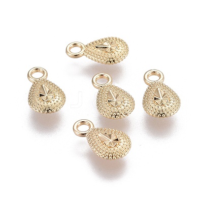 Alloy Charms PALLOY-F241-04G-1