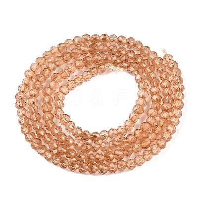 Glass Beads Strands EGLA-T021-01L-1