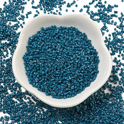 Glass Cylinder Beads SEED-Q036-01A-D06-1