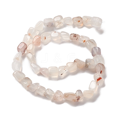 Natural Agate Beads Strands G-F745-01-1