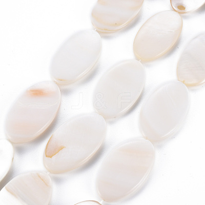 Natural Freshwater Shell Beads Strands SHEL-N026-169-1